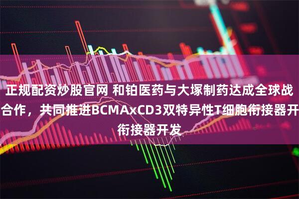 正规配资炒股官网 和铂医药与大塚制药达成全球战略合作，共同推进BCMAxCD3双特异性T细胞衔接器开发